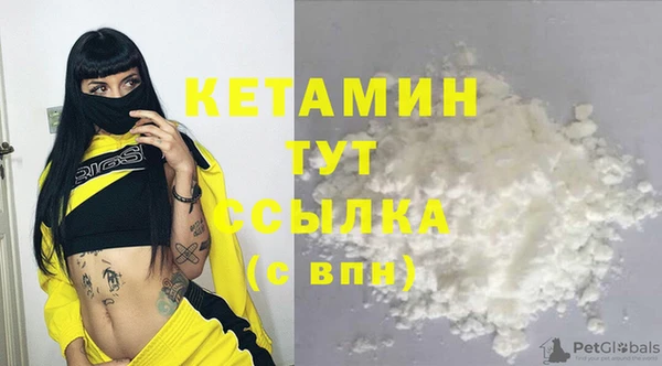 сатива Новодвинск