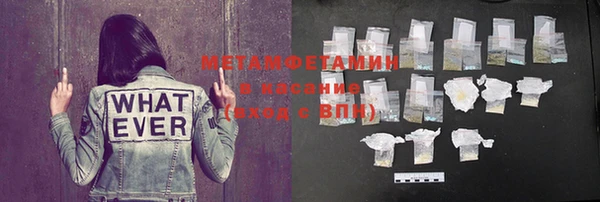 сатива Новодвинск