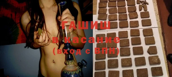 сатива Новодвинск