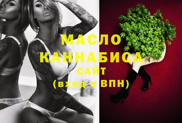 сатива Новодвинск