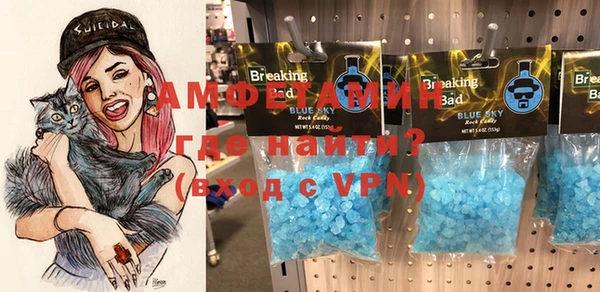 сатива Новодвинск