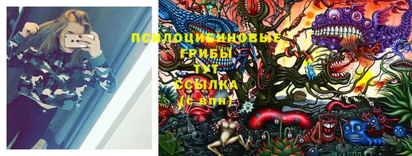 сатива Новодвинск