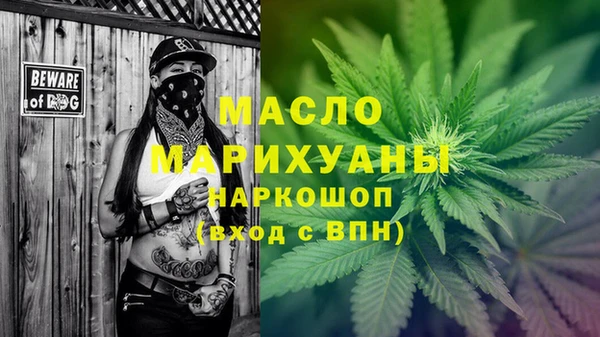 сатива Новодвинск