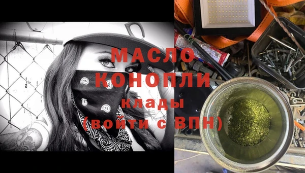 сатива Новодвинск