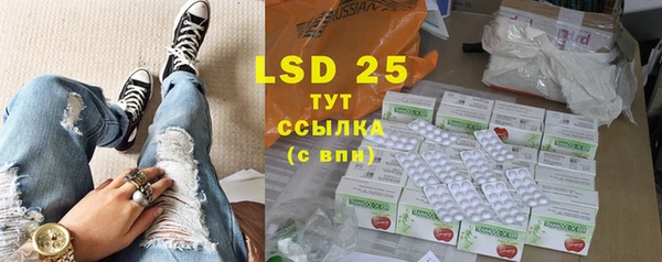 сатива Новодвинск