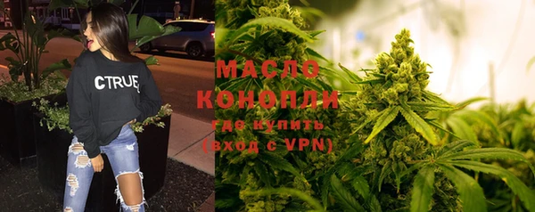 сатива Новодвинск