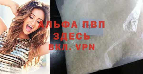 сатива Новодвинск